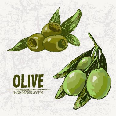 Dijital renkli vektör ayrıntılı satırı sanat taze yeşil