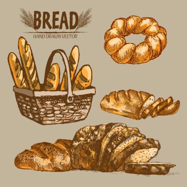 Dijital renkli vektör Hat sanatı altın ayrıntılı