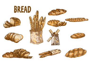 Dijital renkli vektör bohça detaylı hattı