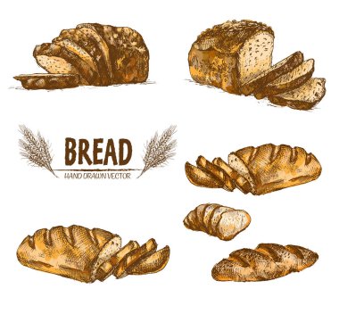 Dijital renkli vektör bohça detaylı Hat sanatı ayarla