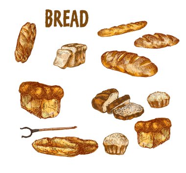 Dijital renkli vektör bohça detaylı Hat sanatı ayarla