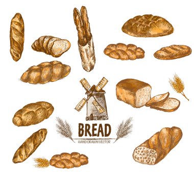 Dijital renkli vektör bohça detaylı hattı