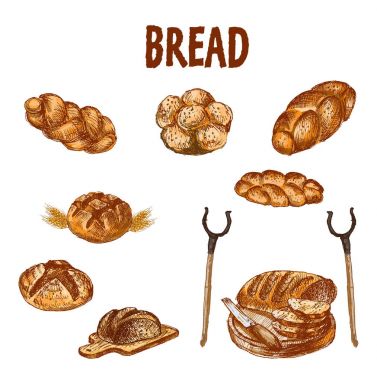 Dijital renkli vektör bohça detaylı Hat sanatı ayarla