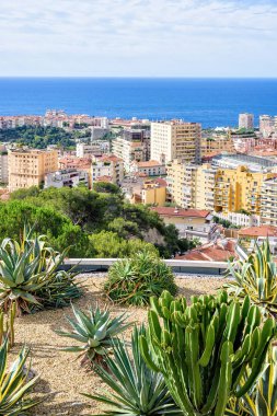 Çiçekler gün ışığı görünümünden uzun boylu şehir binaları ve parlak blu