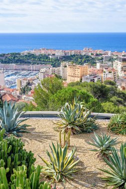 Gün ışığından yararlanma görünümünden çiçekler uzun boylu şehir binaları, bağlantı noktası Hercule 
