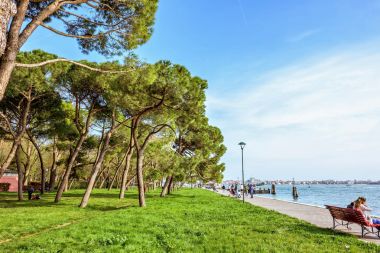 Turistler ile canlı yeşil güneşli park görünümüne gün ışığı