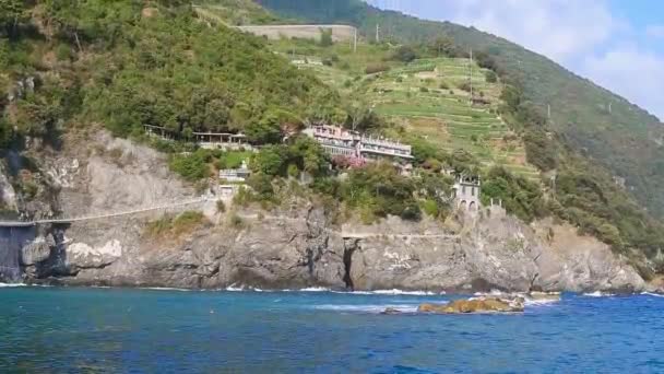 Blue Sea Mountains Vine Terraces Monterosso Mare Cinque Terre Italy — Stock Video