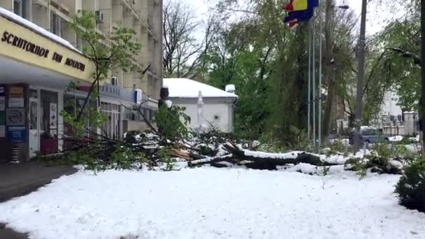 Chisinau Moldova Abril 2017 Desastre Pesado Neve Nas Ruas Cidade — Vídeo de Stock