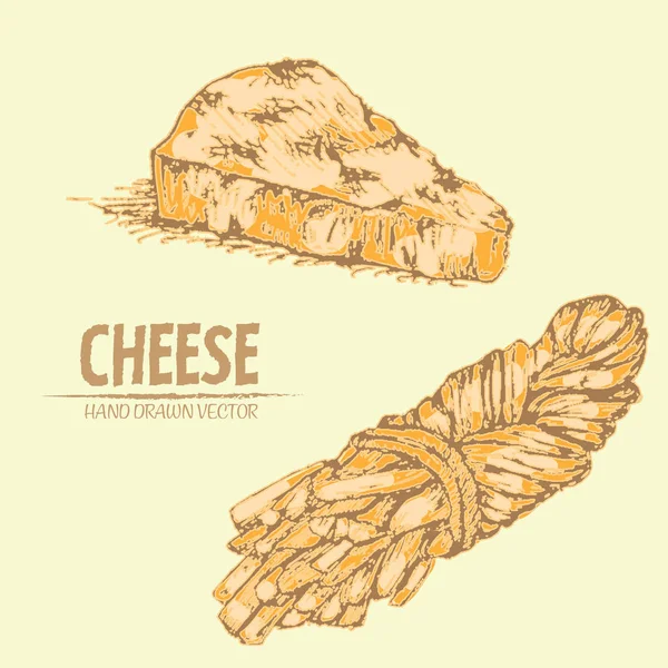 Vector digital línea detallada trenza de queso — Archivo Imágenes Vectoriales