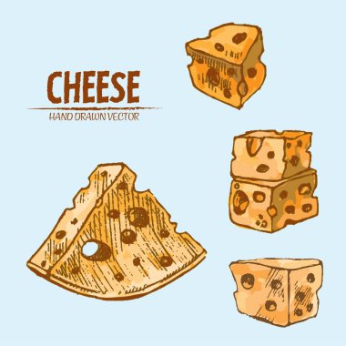 Dijital vektör Hat sanatı peyniri dilimlenir ayrıntılı