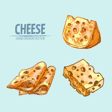 Dijital vektör Hat sanatı peyniri dilimlenir ayrıntılı