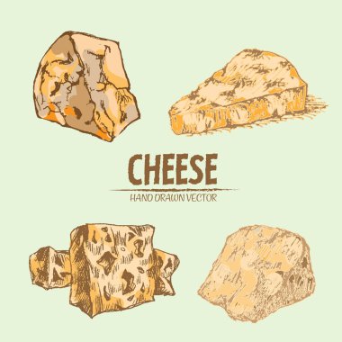 Dijital vektör Hat sanatı peyniri dilimlenir ayrıntılı