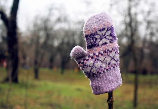 Winter-Kinderhandschuh aus rosa Wolle hängt an einem Baum — Stockfoto