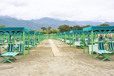 Canlı yeşil şezlong ve şemsiye gün ışığı görünümüne sahilde