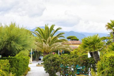 Plaj gün ışığı görünümüne bulutlar ve şehir boğa ile parlak gökyüzü