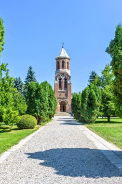 Yol Katedrali ile yeşil ağaçlar için gün ışığından yararlanma görünümüne tarafında