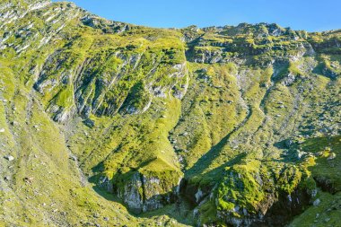 Yeşil dağlar yaz görünümüne ağaçları ve kayaları