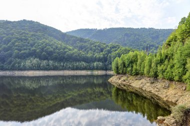 Gün ışığından yararlanma puslu dağlar yeşil ağaçların tam görünümüne