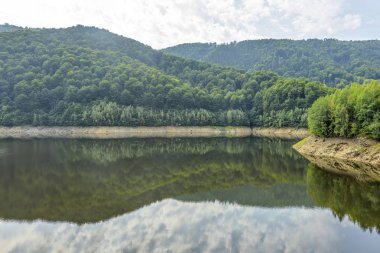 Gün ışığından yararlanma puslu dağlar yeşil ağaçların tam görünümüne