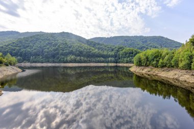 Gün ışığından yararlanma puslu dağlar yeşil ağaçların tam görünümüne