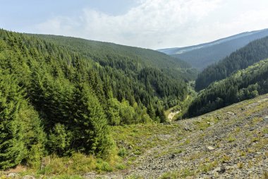 Yeşil dağların ağaçlarının tam gün ışığı manzara görünümüne
