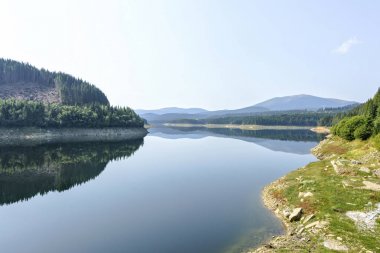 Gün ışığından yararlanma puslu dağlar yeşil ağaçların tam görünümüne