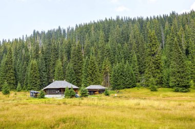 İki evler görünümüne yaz yeşil çim sahada