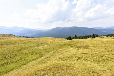 Yaz yeşil çim sahası dağlar ve sis ile görünümüne
