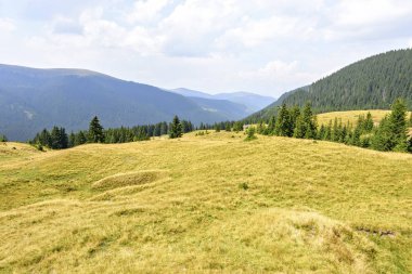 Yaz yeşil çim sahası dağlar ve sis ile görünümüne