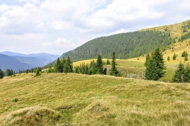 Yaz yeşil çim sahası dağlar ve sis ile görünümüne