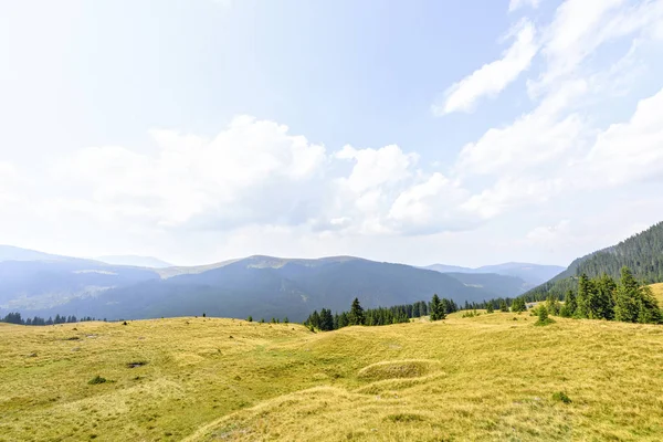 Yaz yeşil çim sahası dağlar ve sis ile görünümüne — Stok fotoğraf