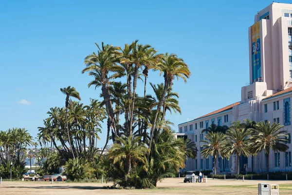 Palmy rosnące w pobliżu budynku administracji San Diego — Zdjęcie stockowe
