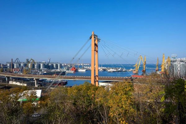 Strzał ogromnego portu morskiego w Odessie — Zdjęcie stockowe