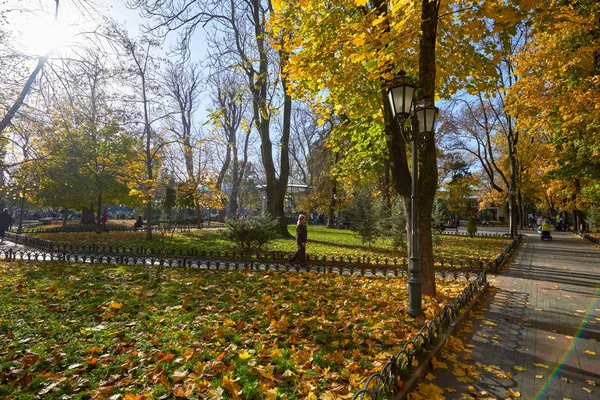 Tiro de um parque cheio de árvores verdes e amarelas — Fotografia de Stock
