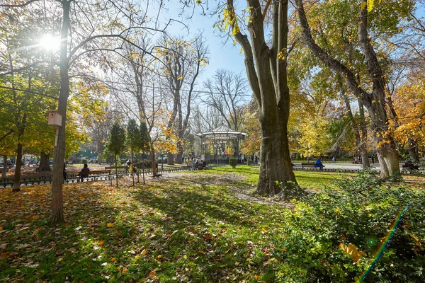 Tiro de um parque cheio de árvores verdes e amarelas — Fotografia de Stock