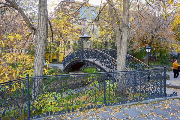Tiro da ponte em um parque — Fotografia de Stock