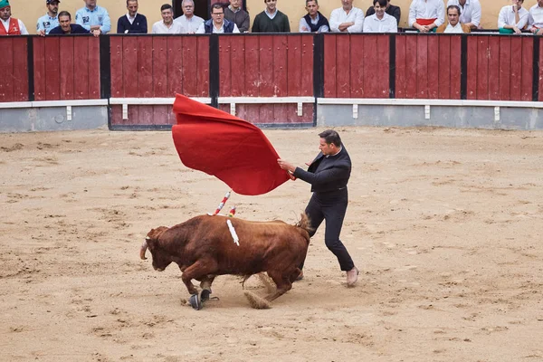 Shot of bullfight taking place in Lisbon Portugal — Stock Photo, Image