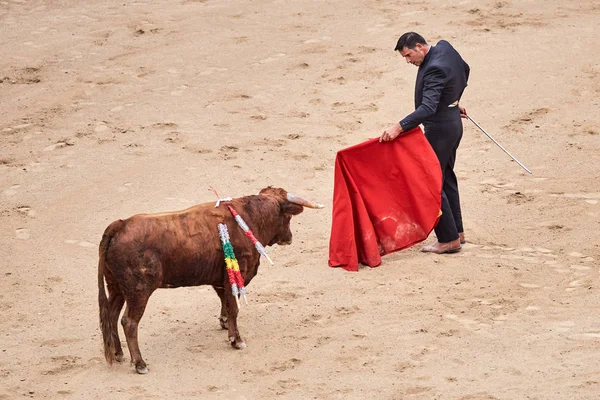 Постріл бика в Лісабоні. — стокове фото