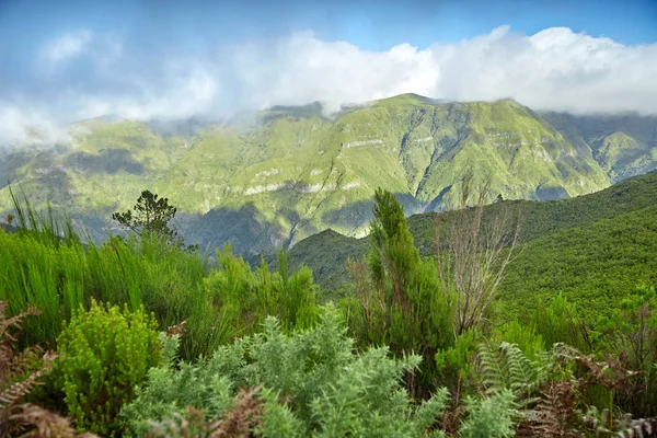 İnanılmaz ve etkileyici Madeira, Portekiz, doğa — Stok fotoğraf
