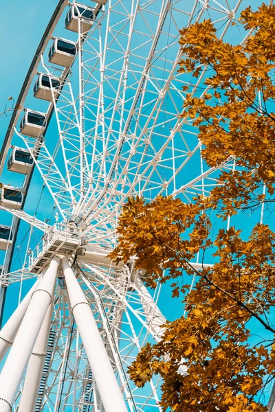 Observatorio de ruedas en el puerto y muelle de Montreal — Foto de Stock