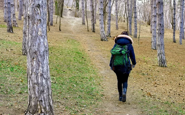 Mulher Com Cabelo Castanho Mochila Verde Caminhadas Final Inverno Floresta — Fotografia de Stock