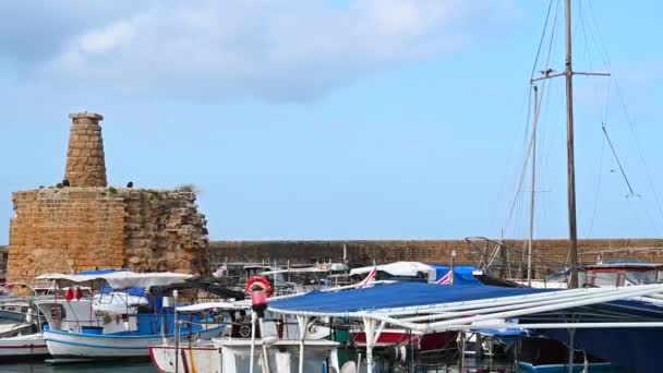 Кирения Кипрус Февраля 2020 Лодки Порту Гавани Кирении Северной Части — стоковое видео