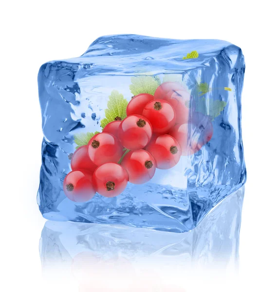 Closeup of red currant in ice cube — Stock Photo, Image