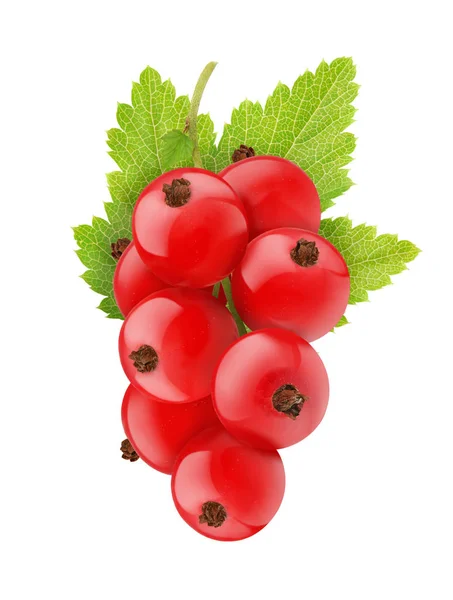 Red currant isolated on a white — Zdjęcie stockowe