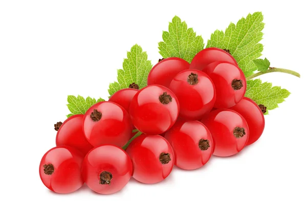 Red currant isolated on a white — Zdjęcie stockowe