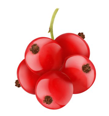 beyaz izole kırmızı kuş üzümü