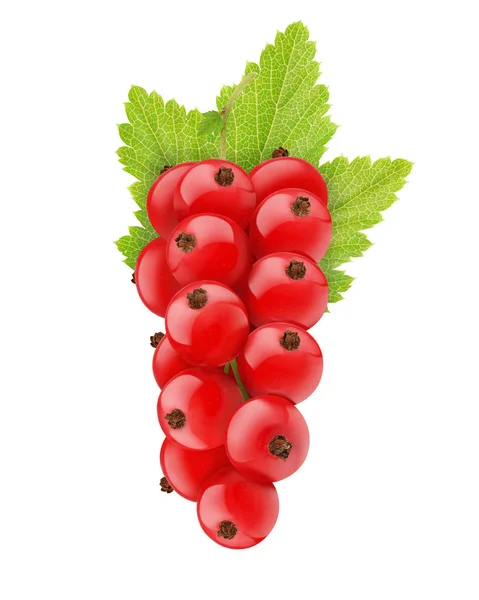 Röda vinbär med leaf isolerad på en vit — Stockfoto