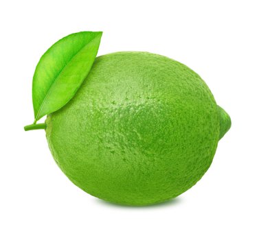 beyaz arkaplanda yapraklı kireç