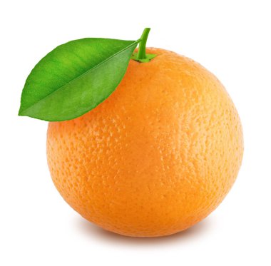 turuncu yaprak beyaz zemin üzerine izole