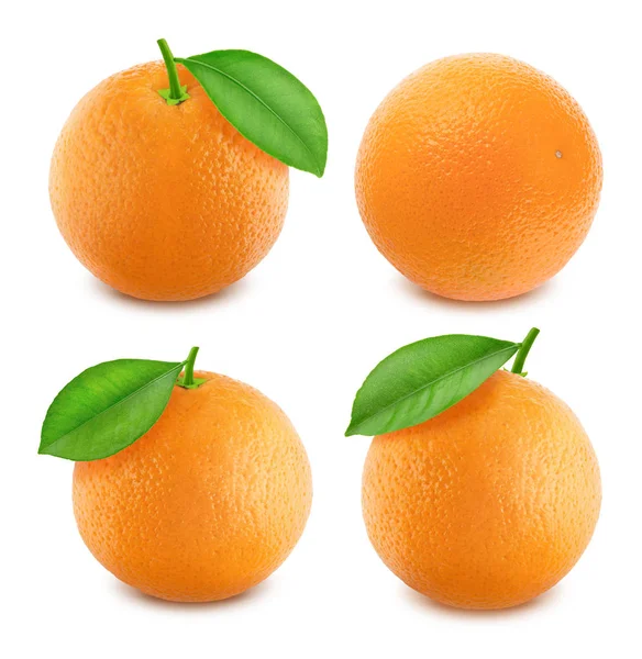 Набір апельсинів ізольований на білому тлі — стокове фото